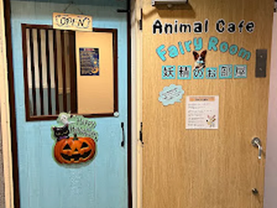 アニマルカフェ 妖精のお部屋【Animal Cafe Fairy Room】
