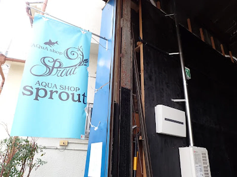 AQUA SHOP sprout