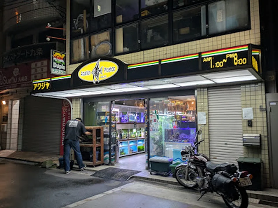 AQUARIUM SHOP AWAJIYA