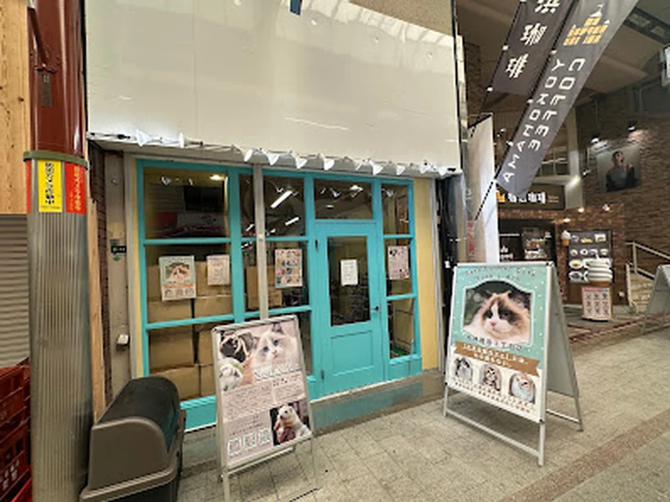 Foto de Cat&Animal Cafe Noah's Ark 天神橋筋3丁目店