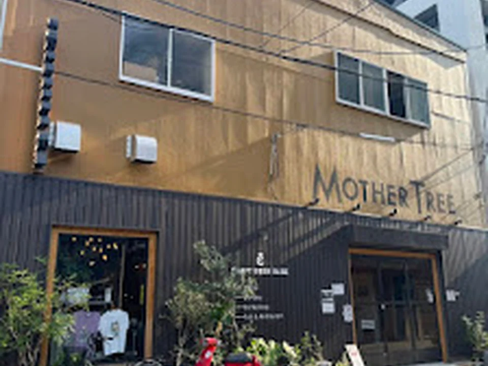 CRAFT BEER BASE MOTHER TREE