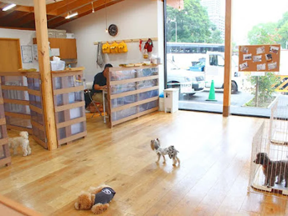 GRASS DOG&CAT てんしば店