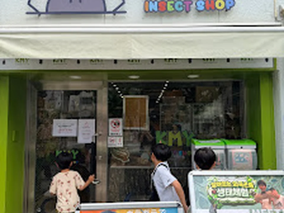 Foto de INSECTSHOP KMY 大阪店｜爬虫類とカブトムシ・クワガタ専門昆虫ショップ
