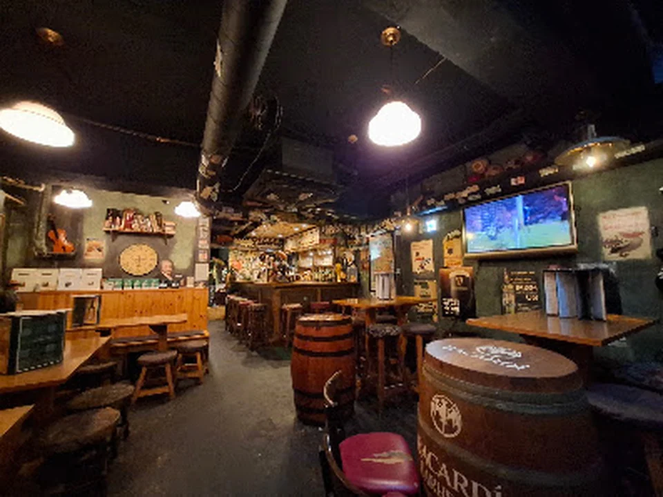 Irish Pub DublinBay/Roof Top BBQ Dublin Garden
