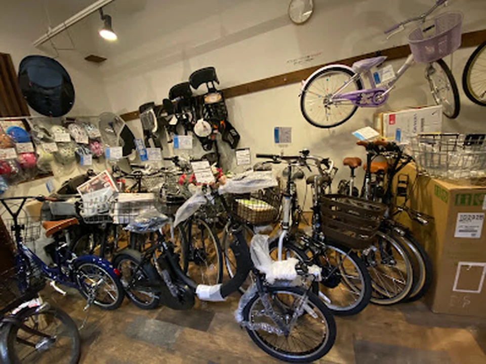kaz cycle