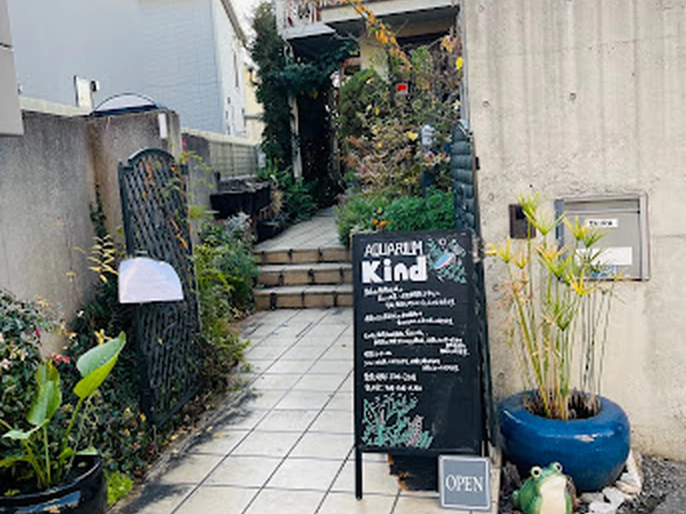 アクアリウムKind