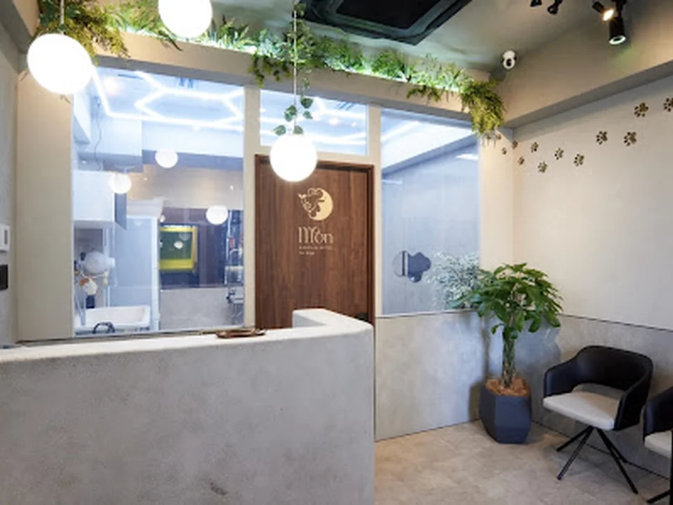 MOON SALON de HOTEL for dogs