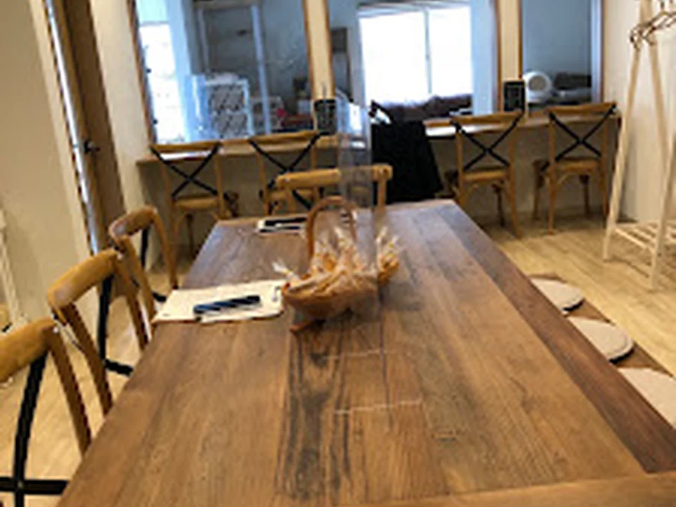 nekotto 譲渡型保護猫カフェ