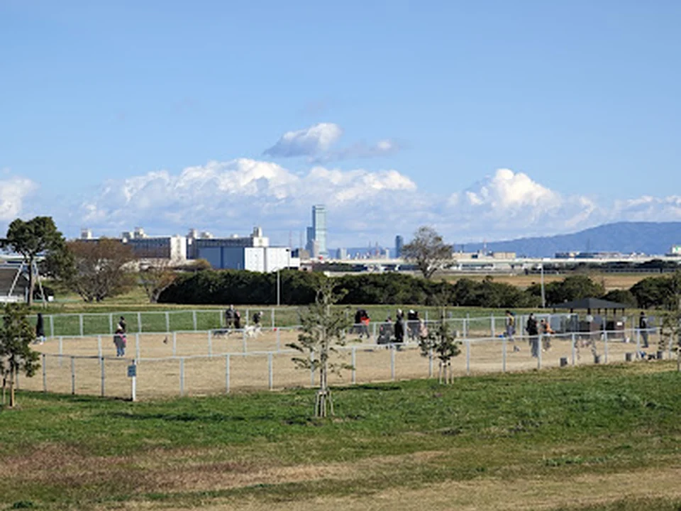 堺市海とのふれあい広場 ドッグラン