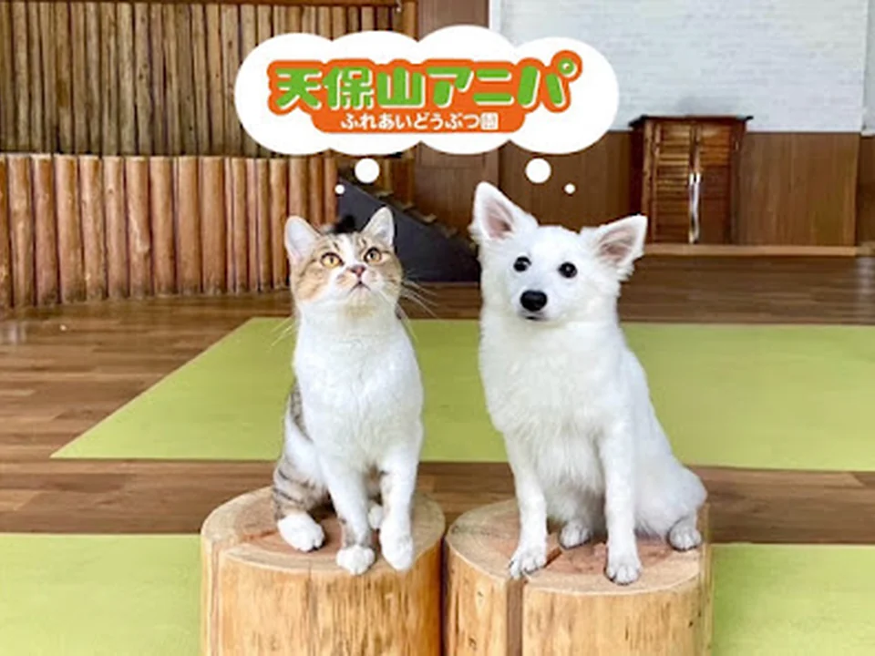 天保山アニパ