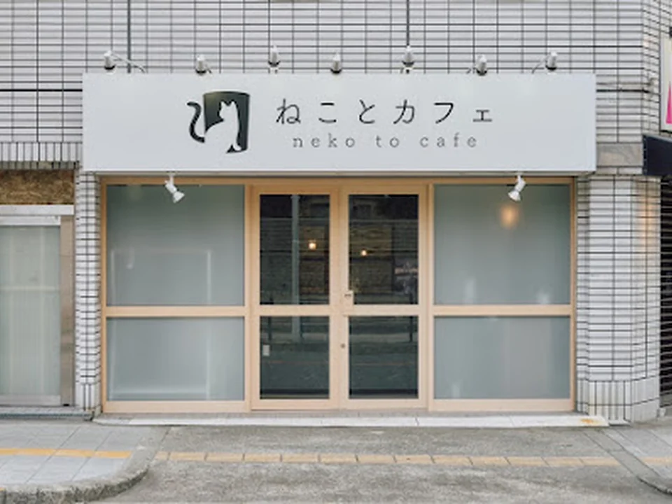 ねことカフェ大阪天王寺店