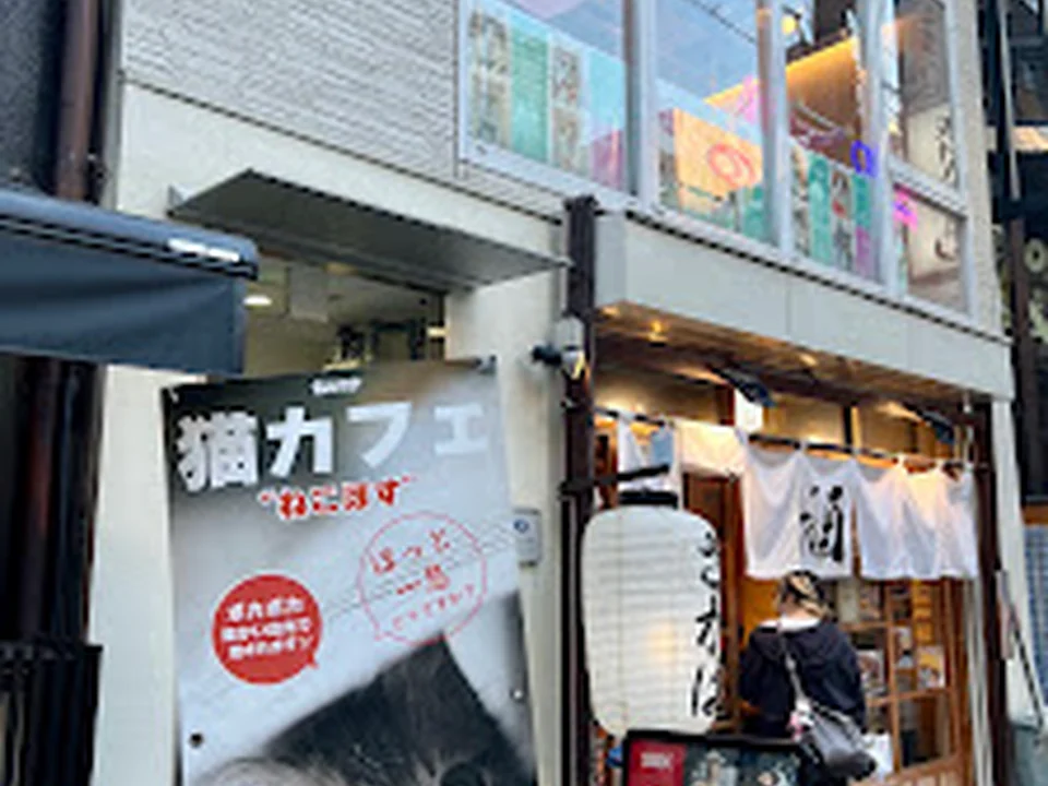 大阪心斎橋 猫カフェねこほす