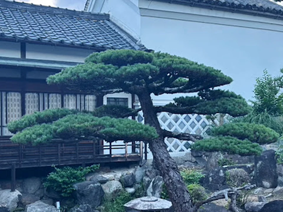 大樹苑