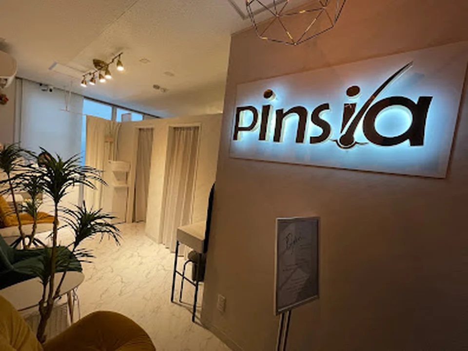 Pinsia 電気脱毛専門店
