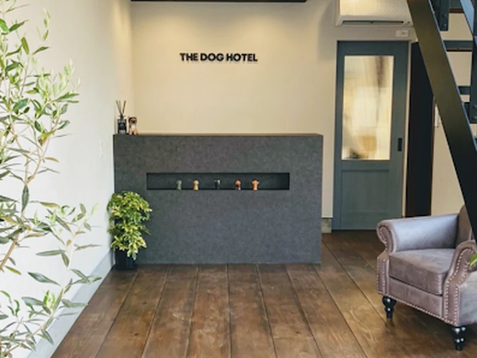 THE DOG HOTEL