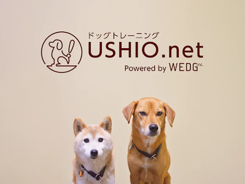 USHIO.net ドッグトレーニング